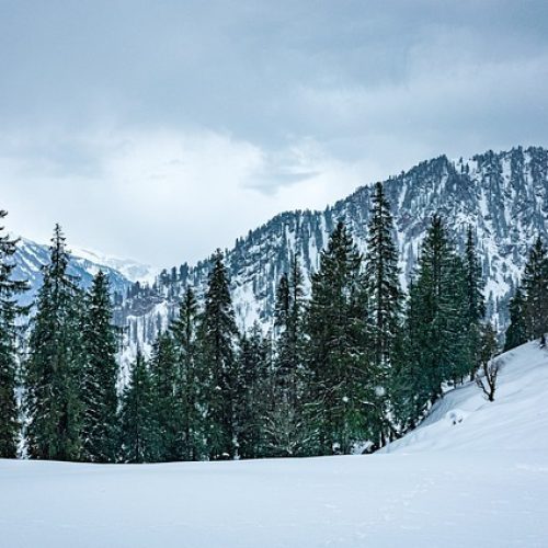Kashmir-tour-travel-Namdev-tour-travel-amritsar